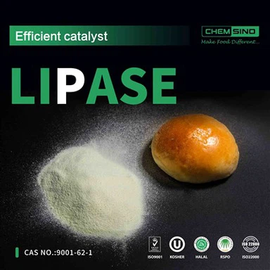 Si farvel til ubehag i fordøyelsen: Prøv Lipase Enzyme i dag! CAS-NR.:9001-62-1