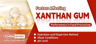 Faktorer som påvirker Xantangummi ytelse i matforedling