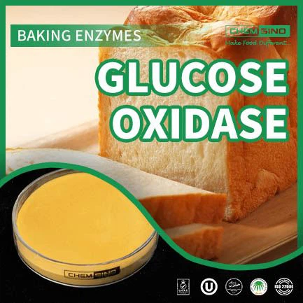 Kina Glucose Oxidase Hev dine kulinariske kreasjoner! CAS-NR.: 9001-37-8