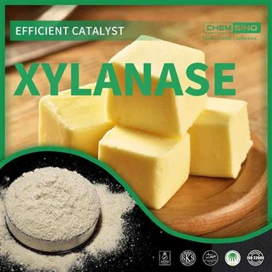 Øk resultatene dine med CAS 9025-57-4 Xylanase Enzyme Power!