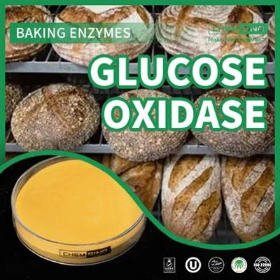 Kina Enzyme Glucose Oxidase og din matproduksjonsprosess! CAS-NR.: 9001-37-13