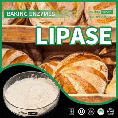 Fordøyelsesharmoni oppnådd: Lipase Enzyme's Magic Touch CAS-NR.:9001-62-1