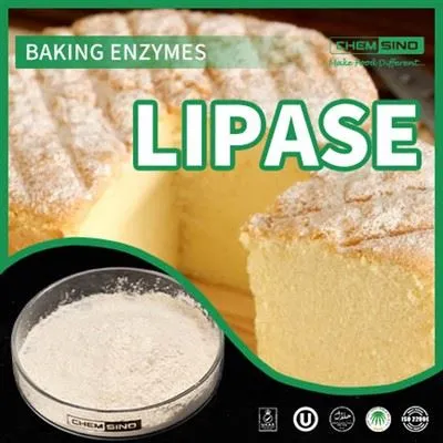 Få mest mulig ut av måltidene dine: Lipase Enzyme Unleashed!CAS-NR.:9001-62-1