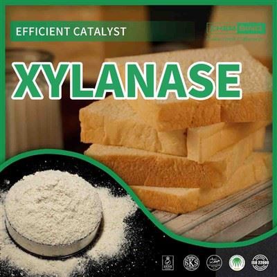 X-Factor Enzyme: CAS 9025-57-4 Xylanase avdekket!