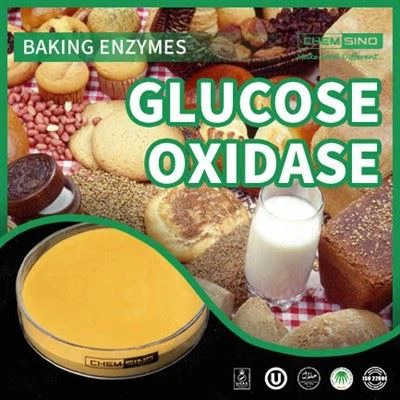 Forbedre ernæringsmessige fordeler: Slipp løs kraften til glukoseoksidase! CAS-NR.: 9001-37-12