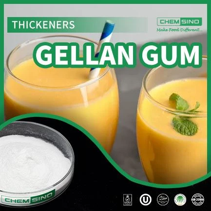 The Science Behind Gellan Gum: From Seaweed To Superior Food Performance CAS NO.71010-52-1
